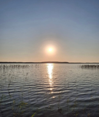 Lyhytterapia Tarjan kuva-arkistosta