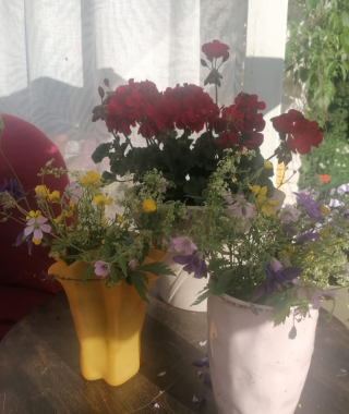 Lyhytterapia Tarjan kuva-arkistosta