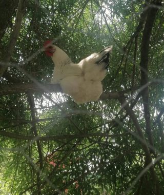 Lyhytterapia Tarjan kuva-arkistosta