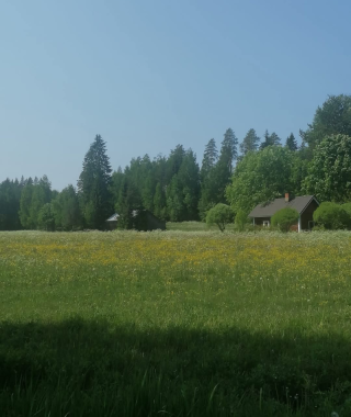 Lyhytterapia Tarjan kuva-arkistosta