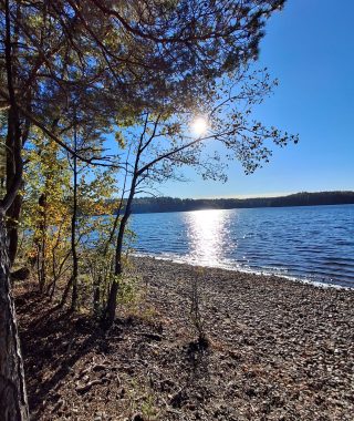 Lyhytterapia Tarjan kuva-arkistosta
