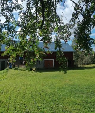 Lyhytterapia Tarjan kuva-arkistosta