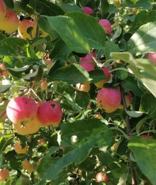 WhatsApp Image 2025-03-16 at 18.29.14 (1)