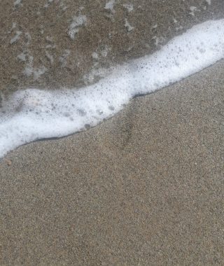 Lyhytterapia Tarjan kuva-arkistosta