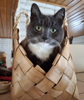 WhatsApp Image 2025-03-27 at 15.47.35