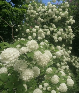 Lyhytterapia Tarjan kuva-arkistosta